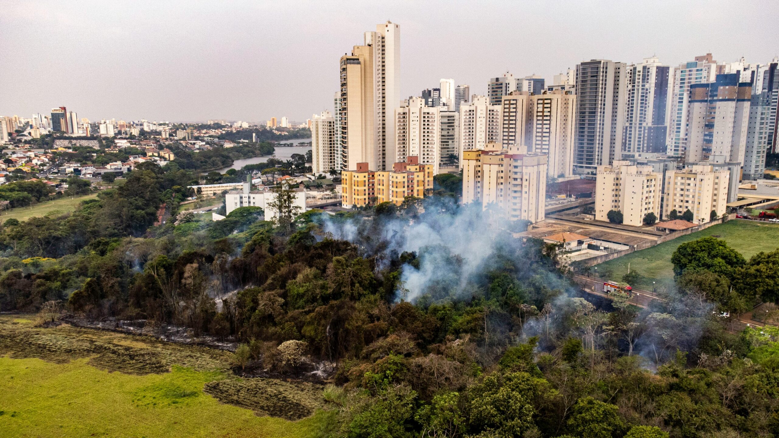 Split image showing deforestation on one side and urbanization on the other with a rising sun symbolizing India's increasing temperatures